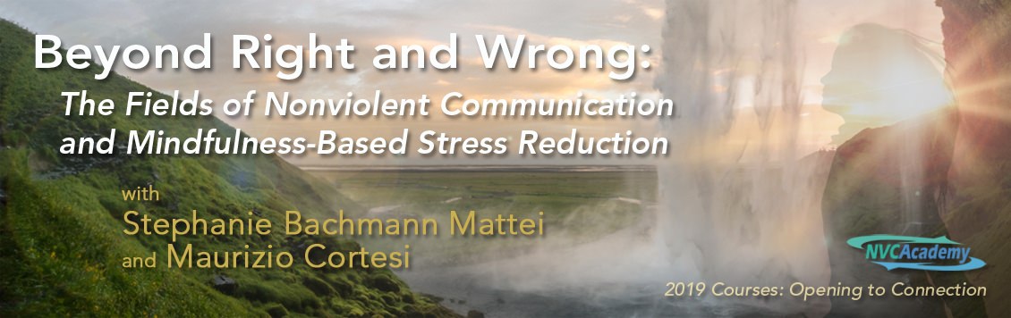 Beyond Right and Wrong: The Fields of Nonviolent Communication and Mindfulness-Based Stress Reduction